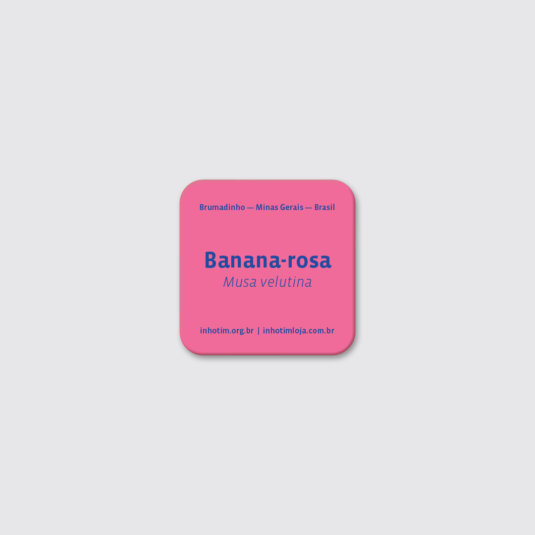 Ímã Banana-rosa