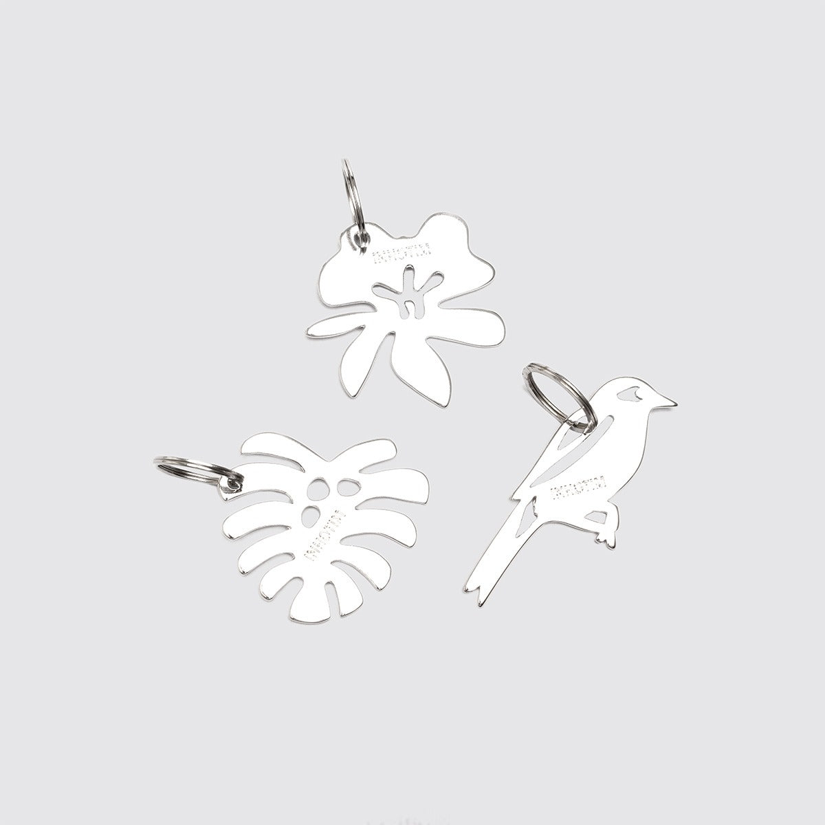 Chaveiro Costela-de-adão Inhotim