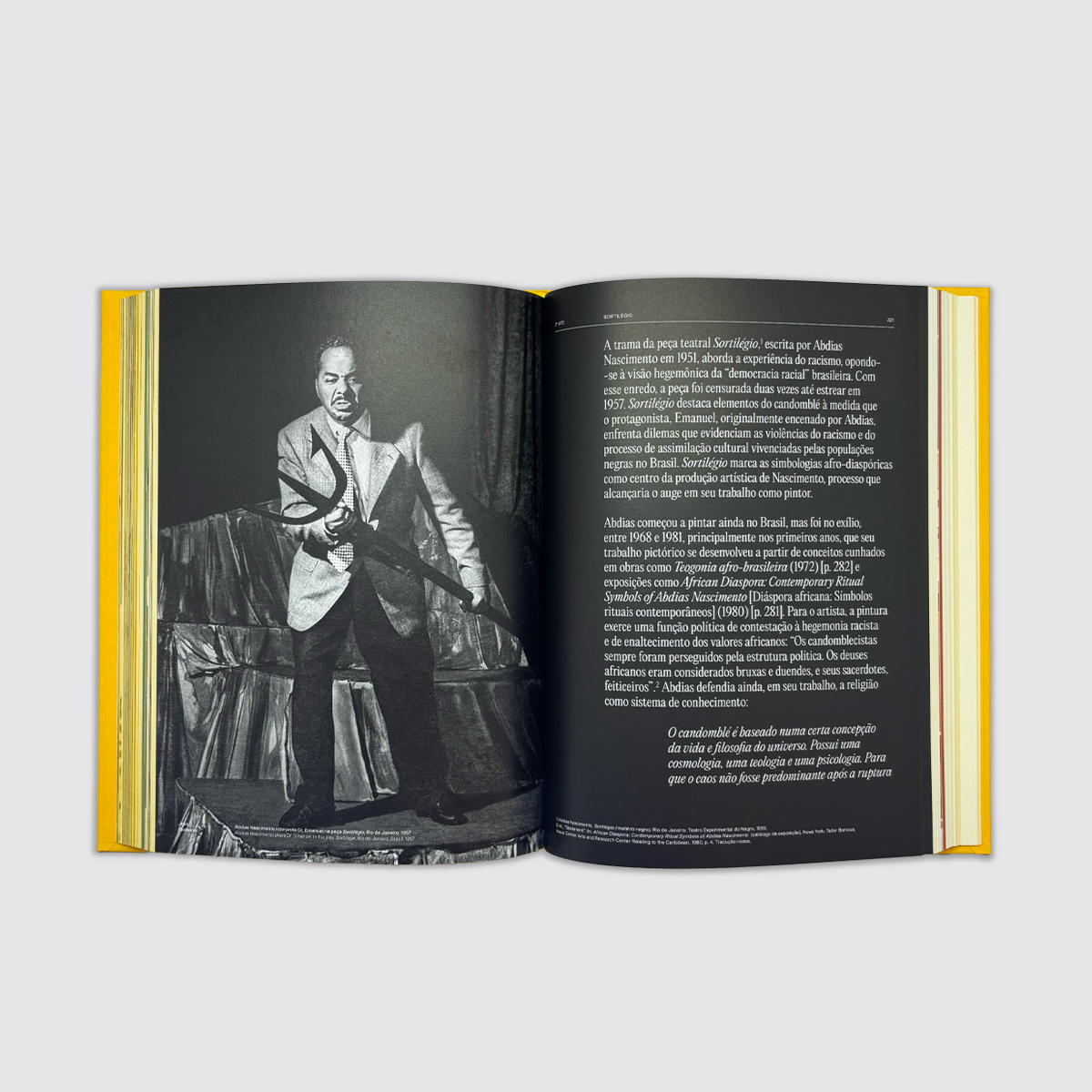 Livro "Abdias Nascimento e o Museu de Arte Negra"