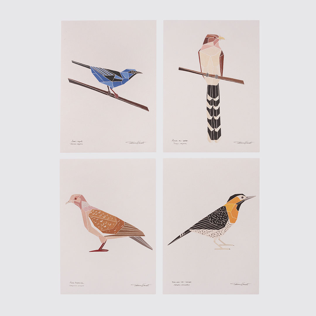 Pôsteres Pássaros do Inhotim #01