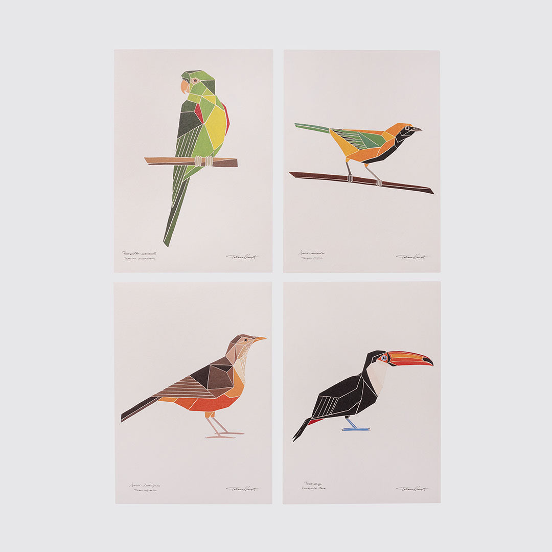 Pôsteres Pássaros do Inhotim #02