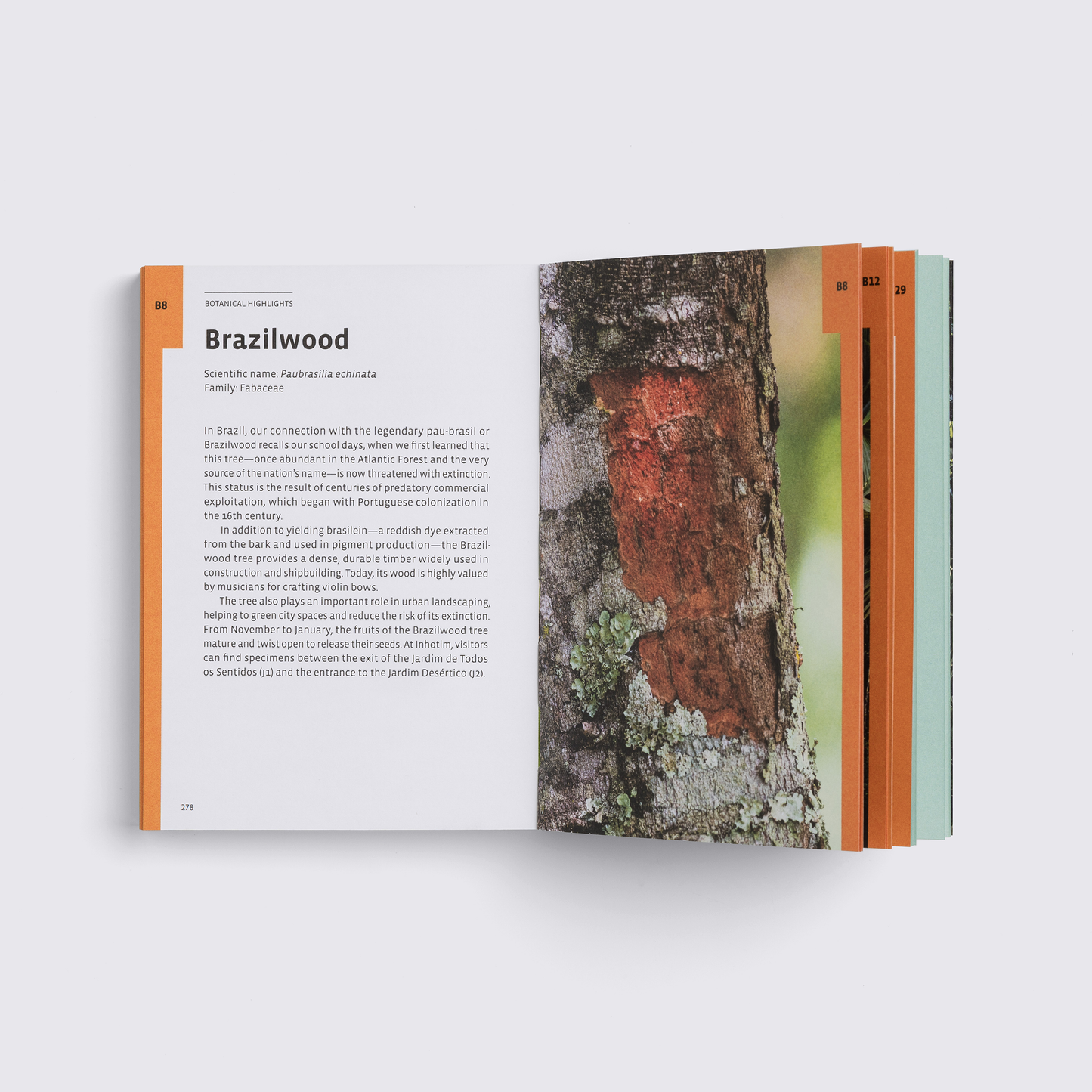 Book "Pathways — A Visitor's Guide to Inhotim"