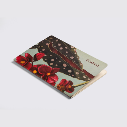 Caderno Begônia-pintada