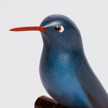 Pássaro Beija-flor azul